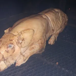 Another Pump House Pig Cook