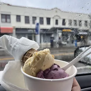 Double scoop with homemade waffle cone