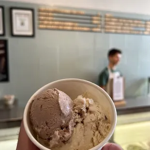 Speckled Milk Chocolate and Sea Salt, Caramel and Praline Pecans