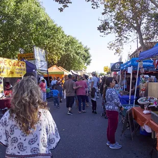 Pumpkin Fair 2016 was small but an introduction to Manteca's businesses.