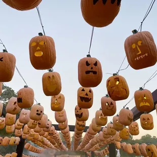 Pumpkin Nights