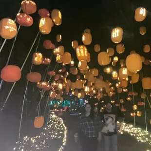 "Harry Potter theme"