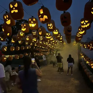 Amazing overhead display