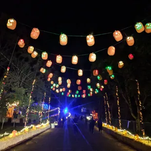 The Dia de los Muertos area was kind of cool.