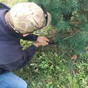 My hubby cutting down our awesome tree this year.