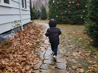 Midland Holiday Pines