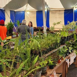 plant booth sat