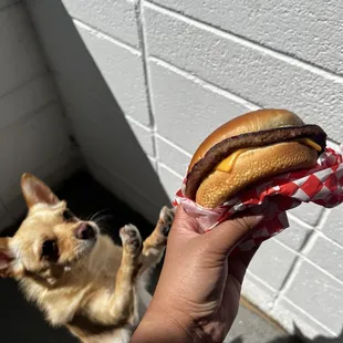 Teri Burger with cheese