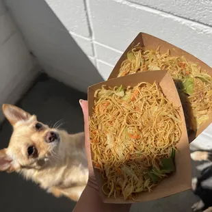 Fried Noodles (2024)