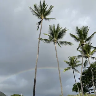 Rainbow blessings outside