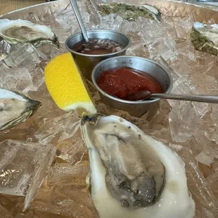 $1.25 Raw Oysters Until 6PM.