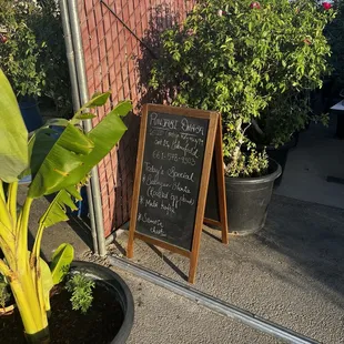 ramen and noodles, outside