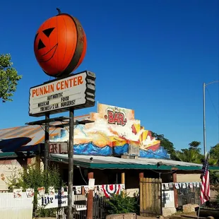 Pumpkin in the desert...