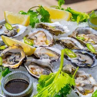 shellfish, mussels, oysters, oysters and mussels, food