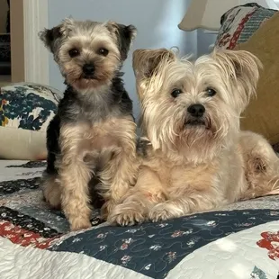 Finlee and Sophie