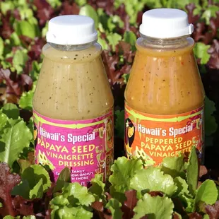 Hawaii's Special vinaigrette and peppered papaya seed dressings.