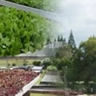 a view of a garden and a view of a hillside