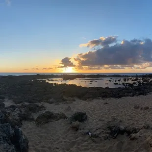 Shark&apos;s Cove across the street