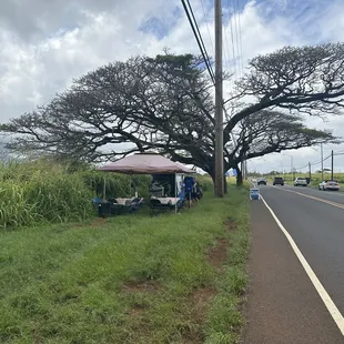 Outside