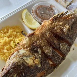 Tilapia frita