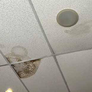 Ceiling leak, mode