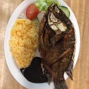Tilapia