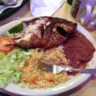 Best fish I ever had! I recommend you to come to this amazing place!