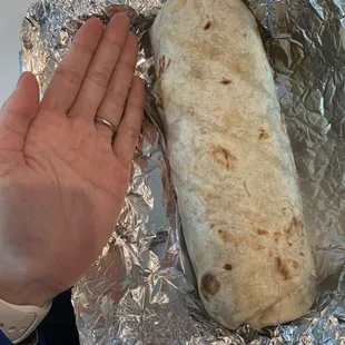 a hand holding a burrito