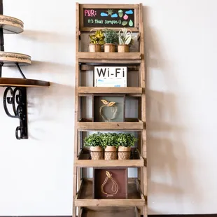 a shelf with plants
