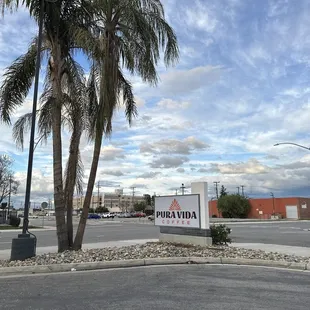 a palm tree in the foreground