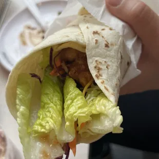 Chicken Wrap
