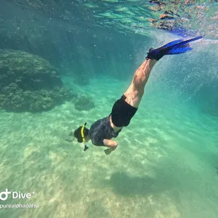 Hanauma bay guided snorkel tour 2023