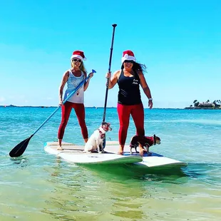 Taco and Aston taking a SUP lesson from instructors Eva and Lindsey! As you can see, they made them do all the work!