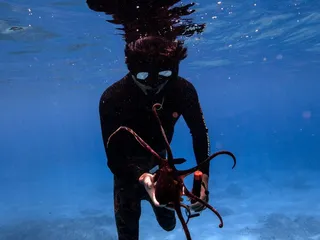 Captain Max Boat Tours