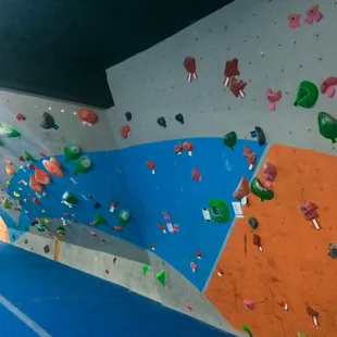Basement Bouldering Area