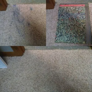 Pure Care Dry Carpet Cleaning and Services