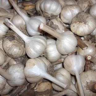 Garlic . . .