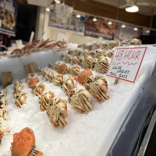 a display of fresh crabs