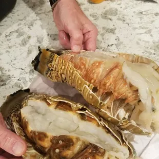 One bad lobster tail that I apparently paid $200