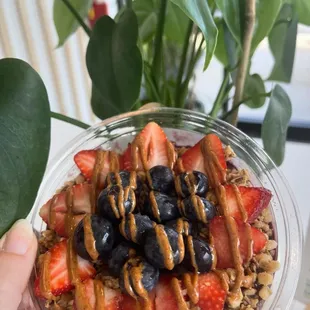 food, sushi and sashimi