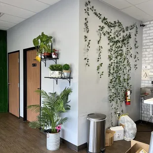 Cute interior with plants