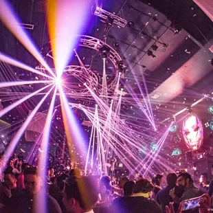Experience the New Pure Nightclub