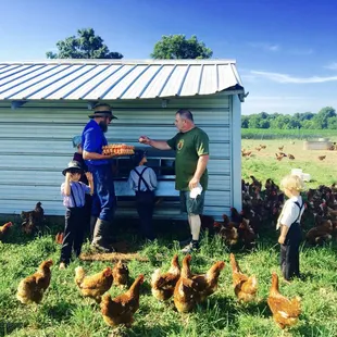 We carry pastured, free range chicken eggs.