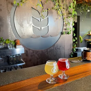 Tropical Mist citrus blonde and Stoic Serenity Hard Kombucha