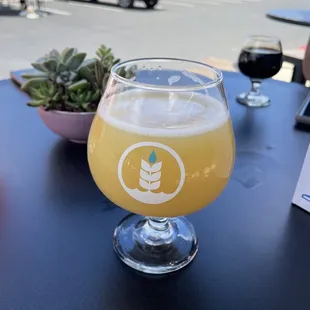 Murky Ipa