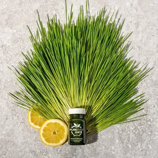 Wheatgrass Shot