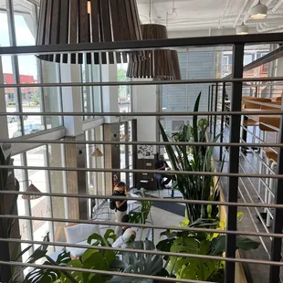 Chilling on the second floor.