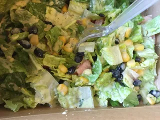 Sprout Vegan 2.0