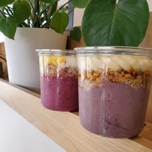 These are regular sized bowls! They have large and baby one too.