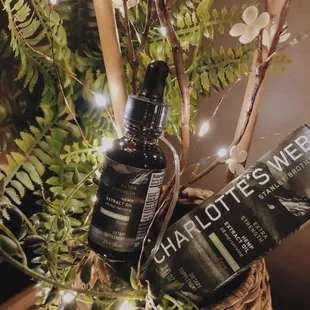 CBD products to lava bead jewelry to the beloved Image Skincare line - we have it all in our Pure Spa Shop.